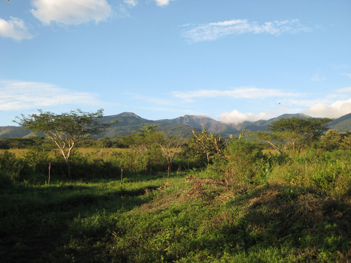 View of the Rincon de la Vieja volcano
