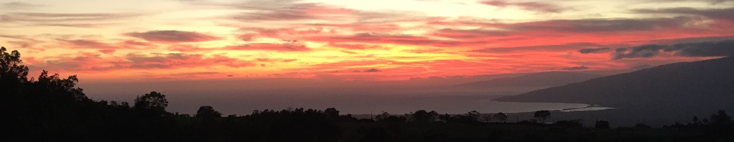 The sunset from our friends' house. I could happily watch the sun set here every day.